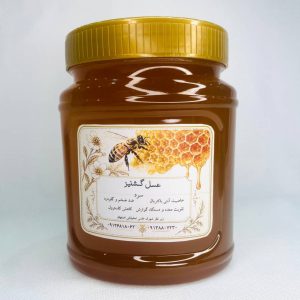 عسل گشنیز / یک کیلوگرم